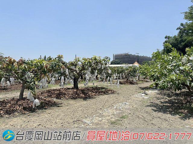 高雄農地-3