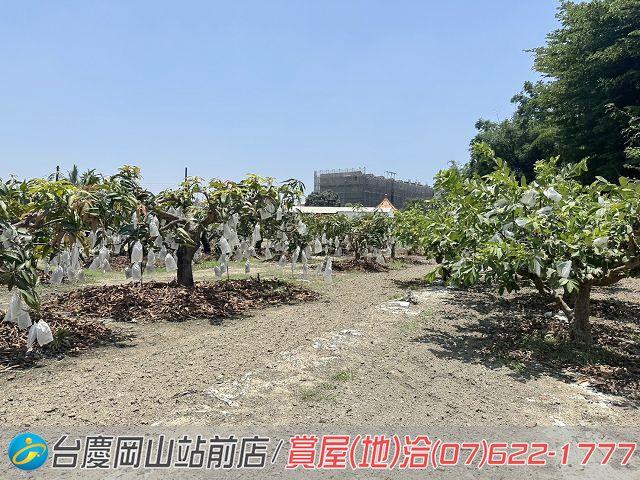 高雄農地-4