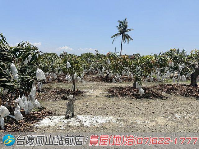 高雄農地-5