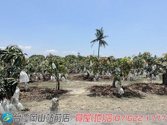高雄農地-6