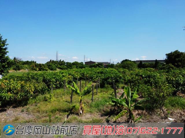 高雄農地-6