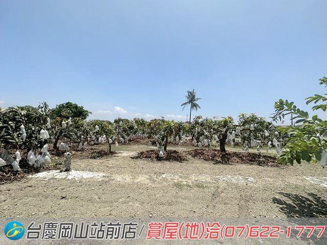 高雄農地-7