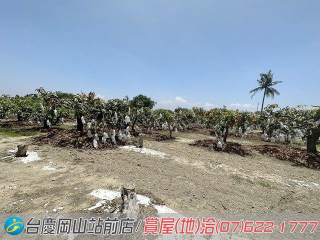 高雄農地-8