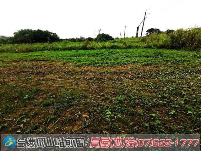 高雄阿蓮農地-9