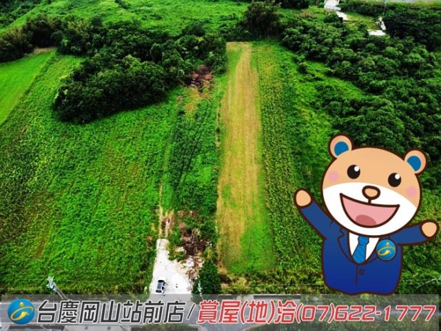高雄阿蓮農地-0