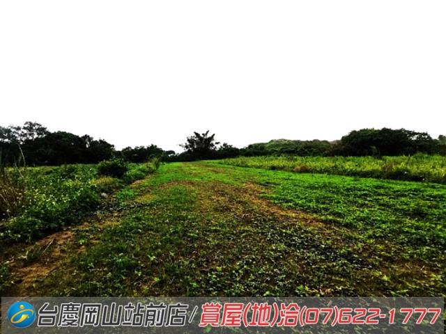 高雄阿蓮農地-8