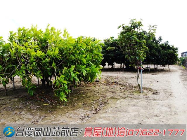 高雄永安農地-7