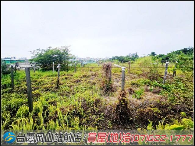 大社農地-11