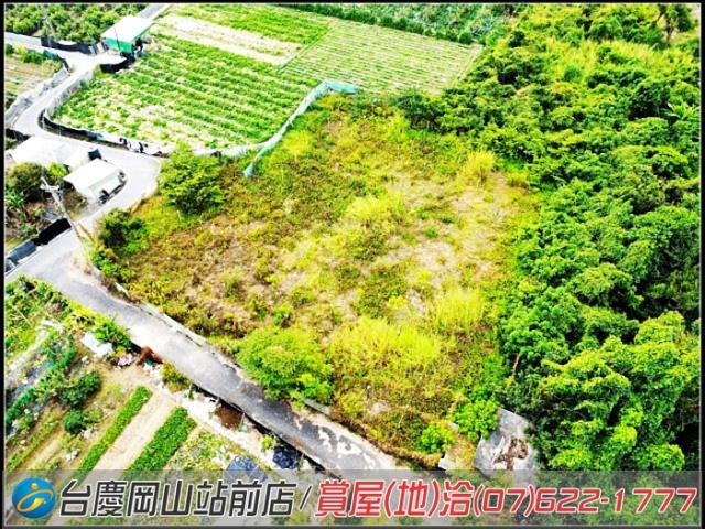 大社農地-12