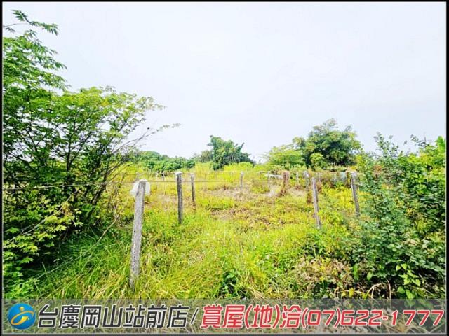 大社農地-13