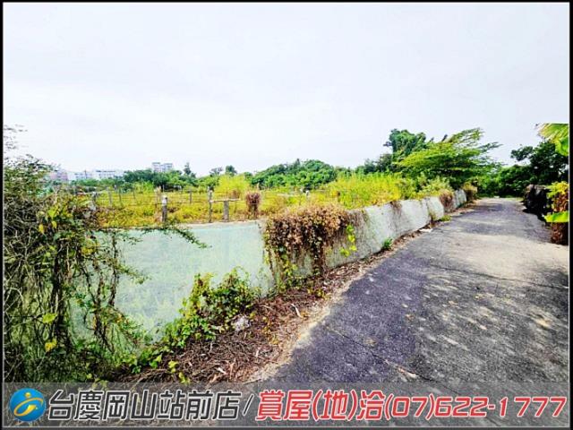 大社農地-5