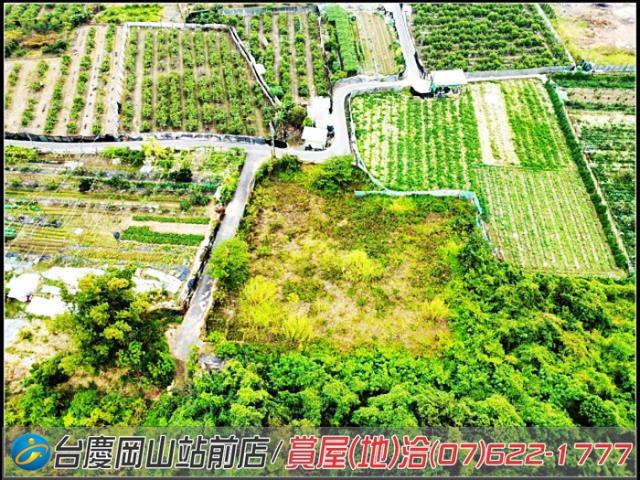 大社農地-6