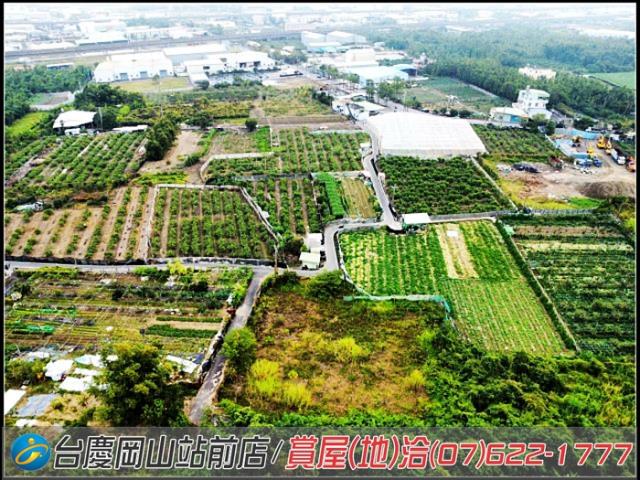 大社農地-7