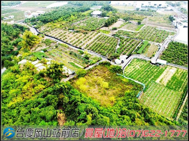 大社農地-8