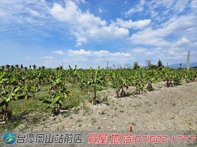 屏東潮州農地-11
