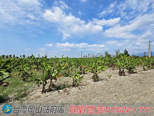 屏東潮州農地-5