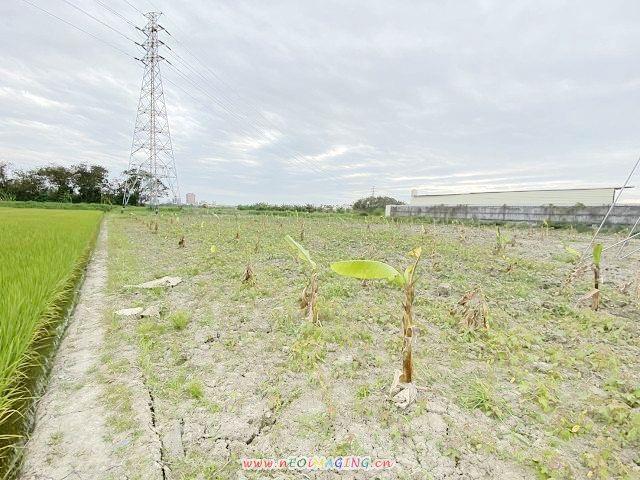 高雄岡山農地-2