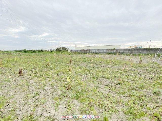 高雄岡山農地-4