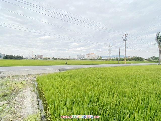 高雄岡山農地-5
