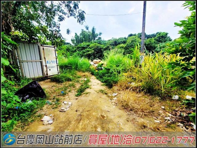 高雄大社農地-12