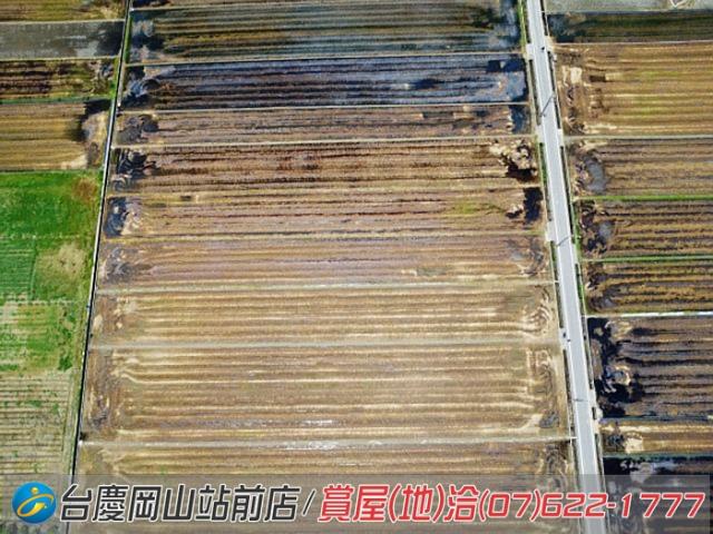橋頭農地-3
