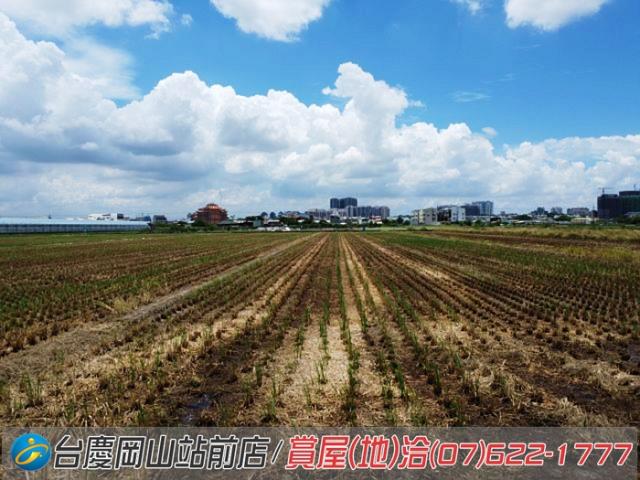橋頭農地-4