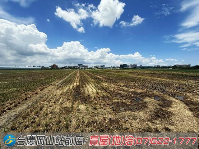 橋頭農地-5