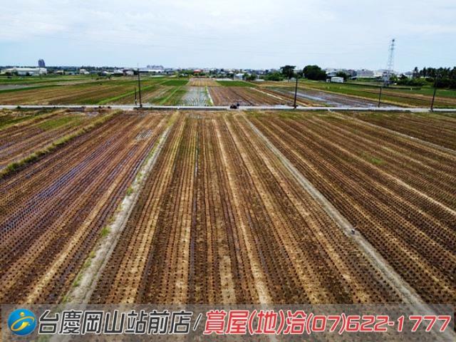 橋頭農地-6