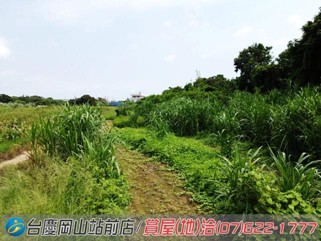 高雄農地-5