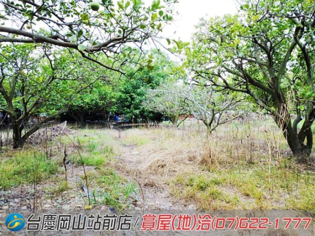 高雄橋頭農地-10
