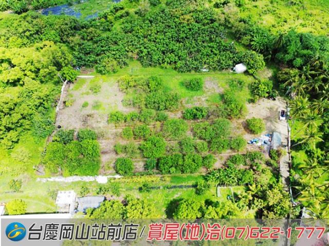 高雄橋頭農地-1