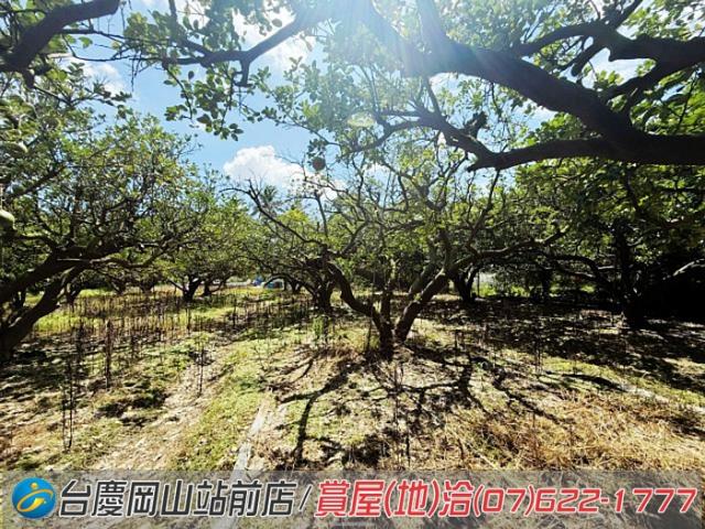 高雄橋頭農地-6