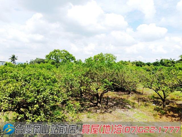 高雄橋頭農地-7
