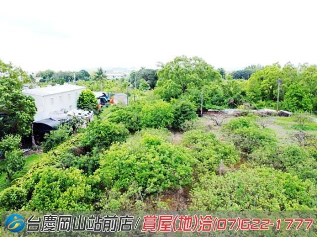 高雄橋頭農地-8