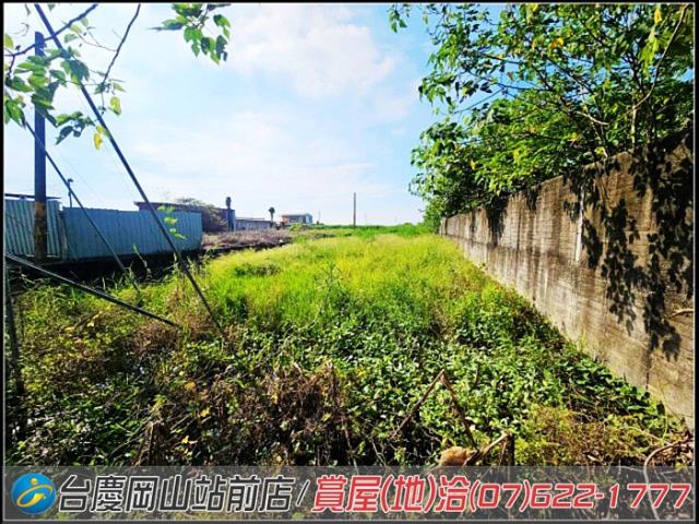 高雄橋頭農地-5