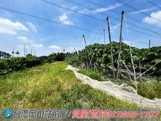 屏東新埤農地-9