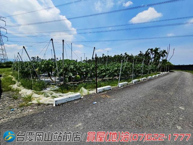 屏東新埤農地-10