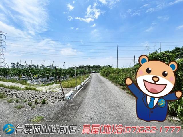 屏東新埤農地-0