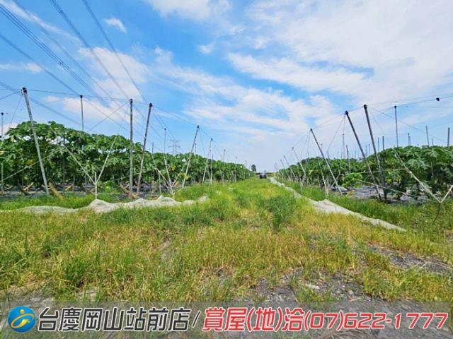 屏東新埤農地-2