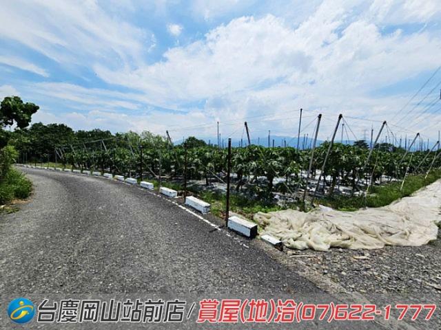 屏東新埤農地-3