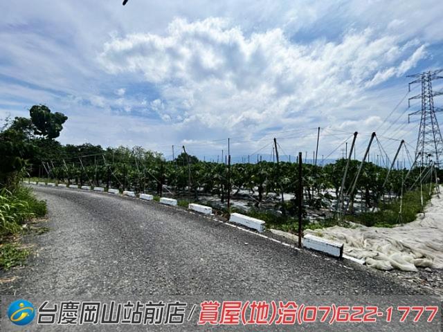 屏東新埤農地-4