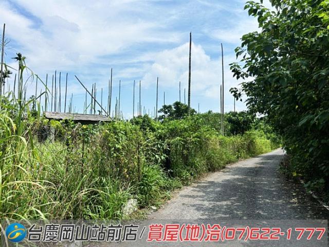 屏東新埤農地-6