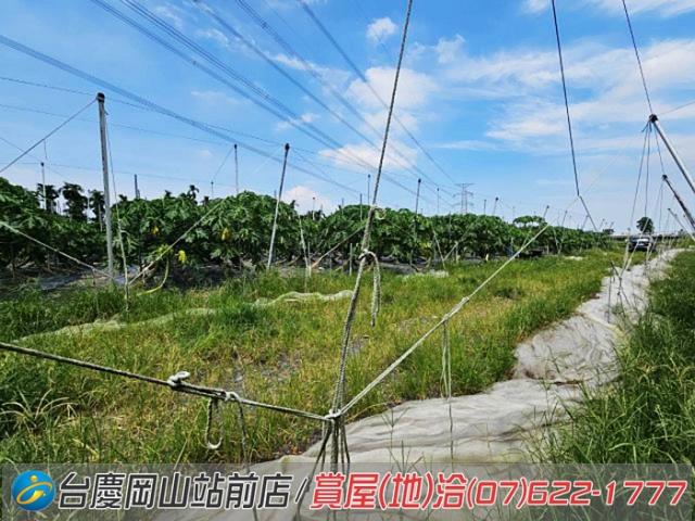 屏東新埤農地-7