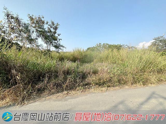 屏東高樹農地-14