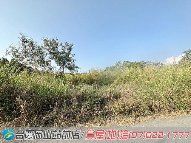 屏東高樹農地-2