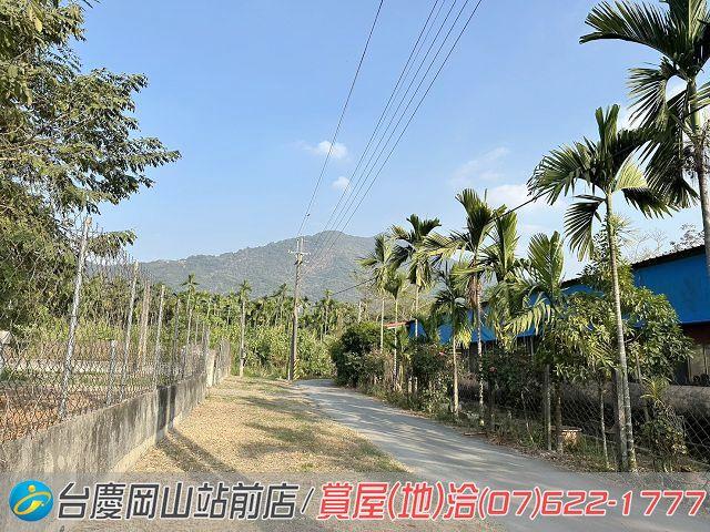 屏東高樹農地-6
