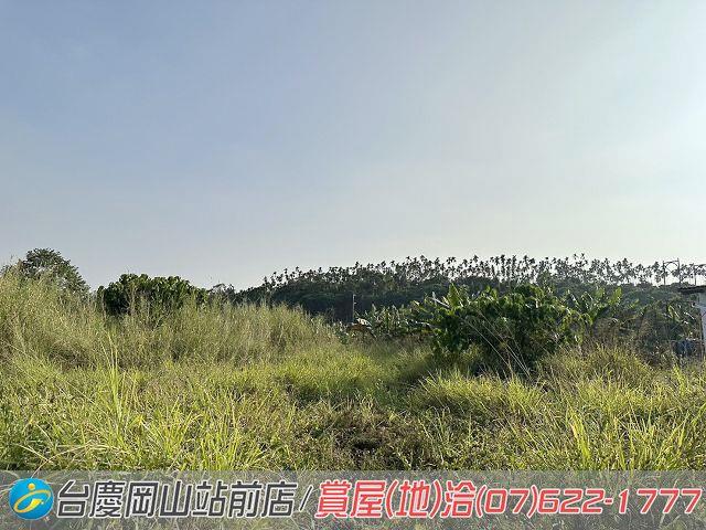屏東高樹農地-7