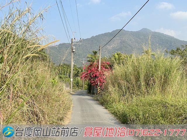 屏東高樹農地-8