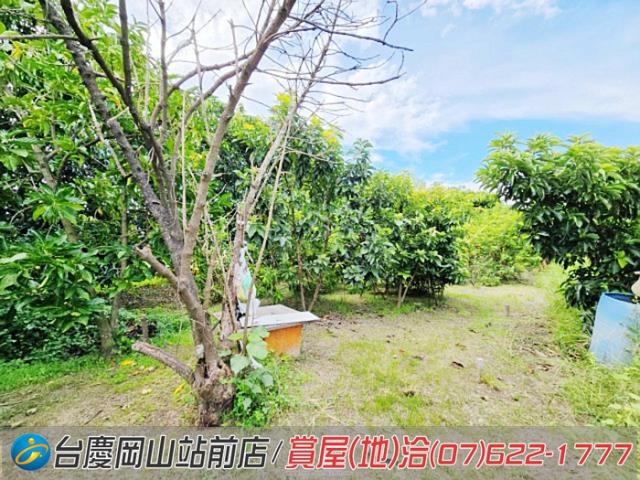 高雄岡山農地-3