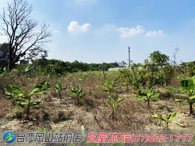 高雄阿蓮農地-9